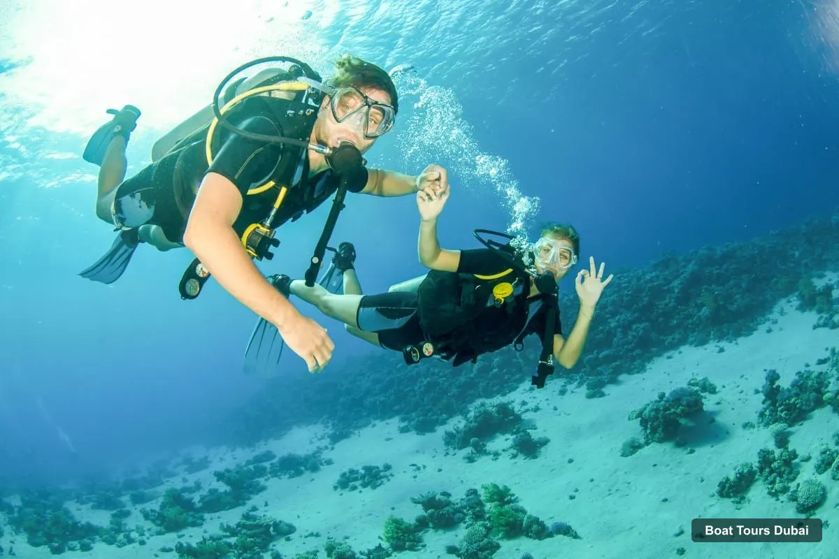 Dubai Boat Trips – Fujairah Half-Day Scuba Dive and Snorkeling