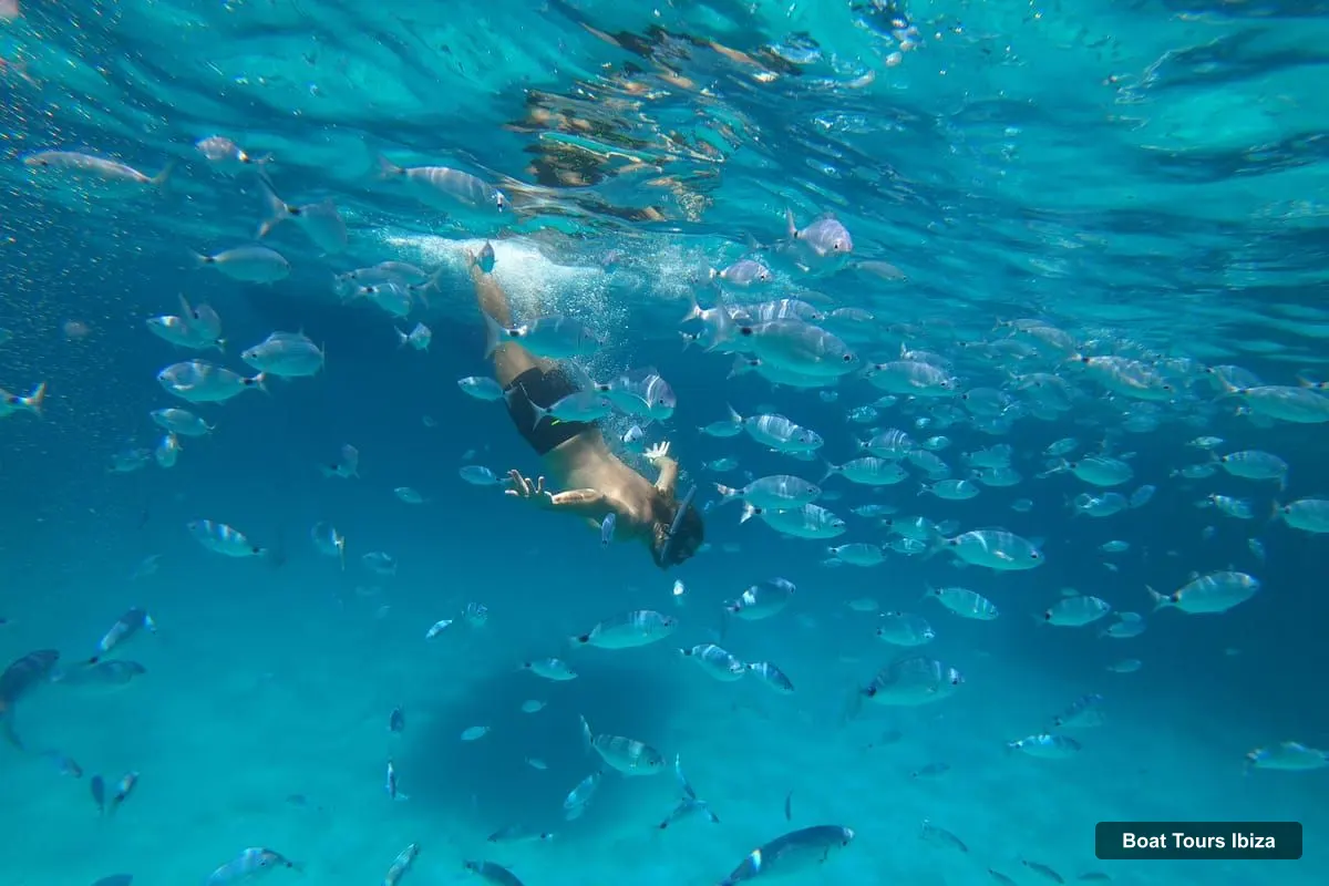 Boat Tours Ibiza – Private boat tour with snorkeling and paddleboarding in crystal-clear waters (photo 2)