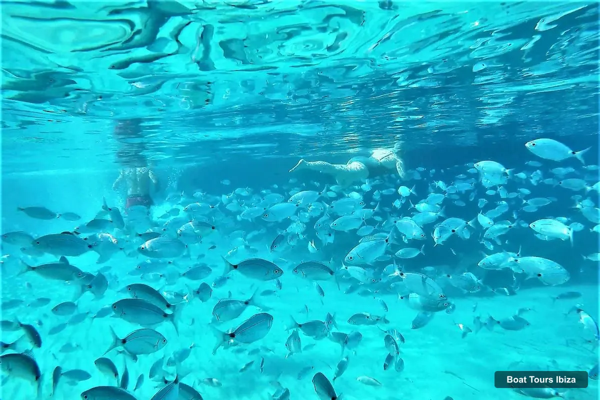 Boat Tours Ibiza – Snorkeling and SUP Paddle, Beach and Cave Tour