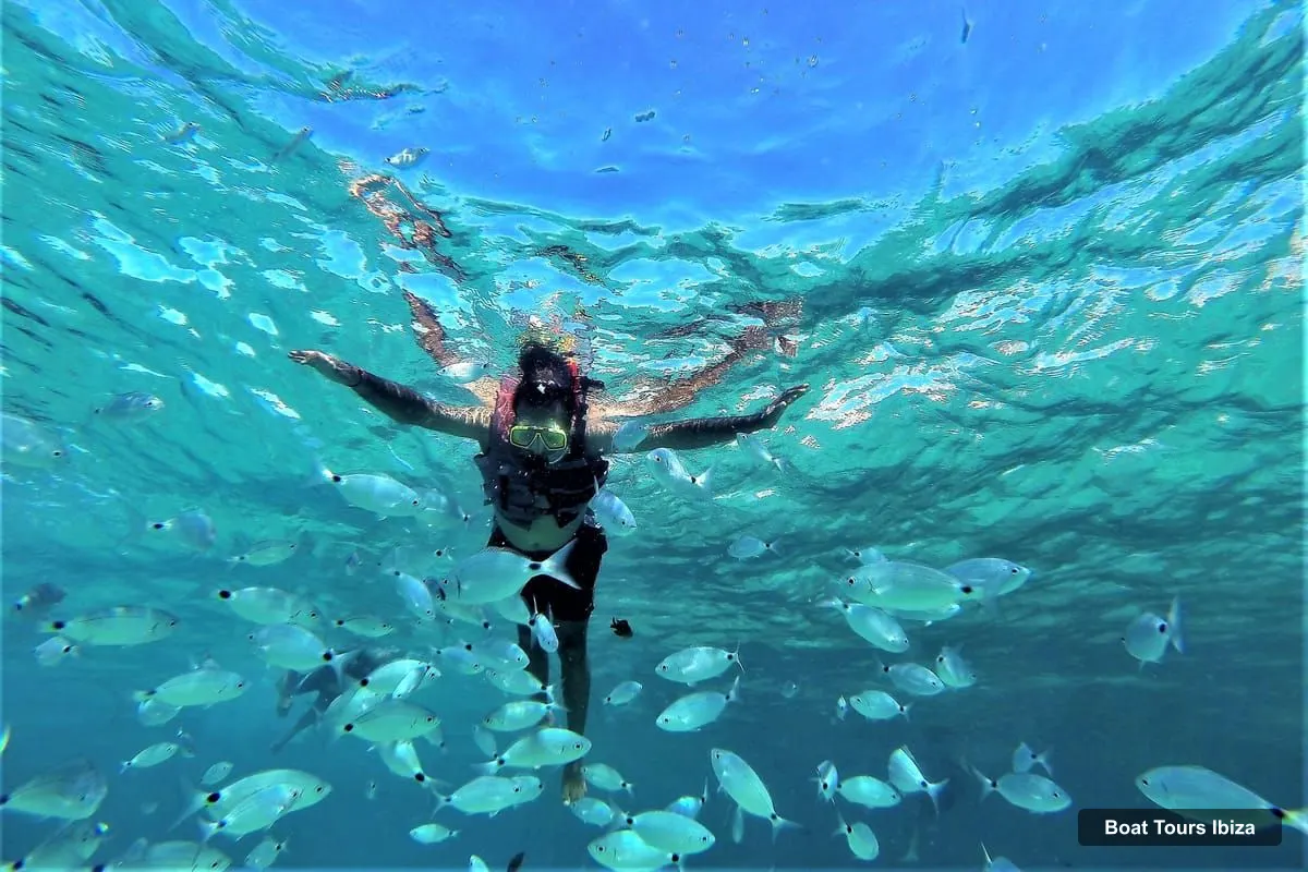 Ibiza Boat Cruises – Snorkeling, Sunset Beach and Cave Boat Trip (photo 4)