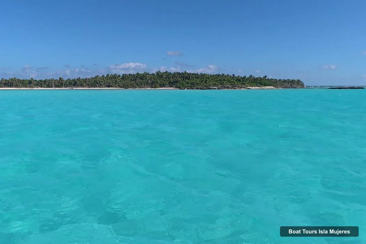 Boat Tours in Isla Mujeres – 3-in-1 Speedboat: Cancun, Isla Contoy and Isla Mujeres (photo 3)
