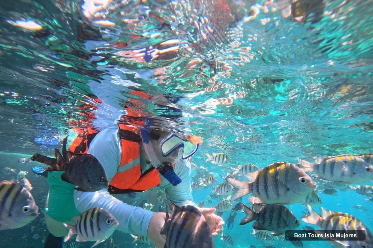Boat Tours in Isla Mujeres – Snorkeling tour at 3 spots, Underwater Museum and reefs! (photo 2)