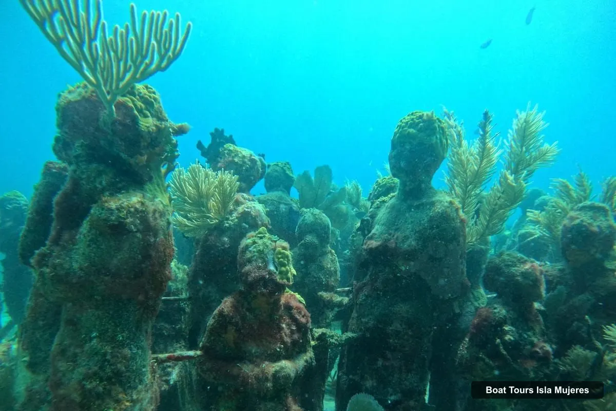 Boat Tours in Isla Mujeres – Snorkeling tour at 3 spots, Underwater Museum and reefs! (photo 4)