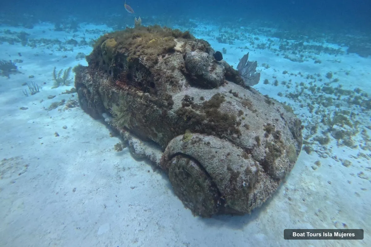 Boat Tours in Isla Mujeres – Snorkeling tour at 3 spots, Underwater Museum and reefs! (photo 5)