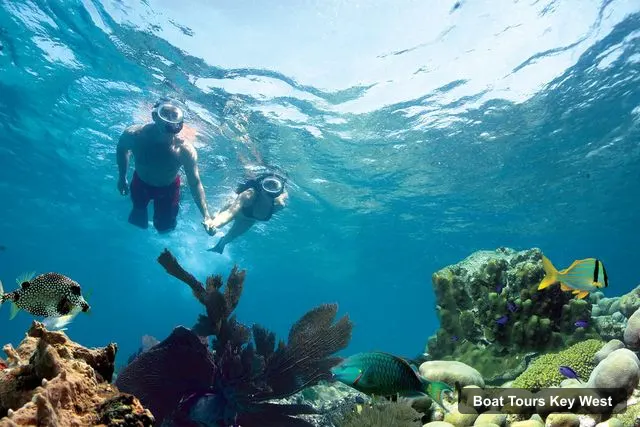 Boat Tours in Key West – Reef Snorkeling with Drinks and Sunset Option