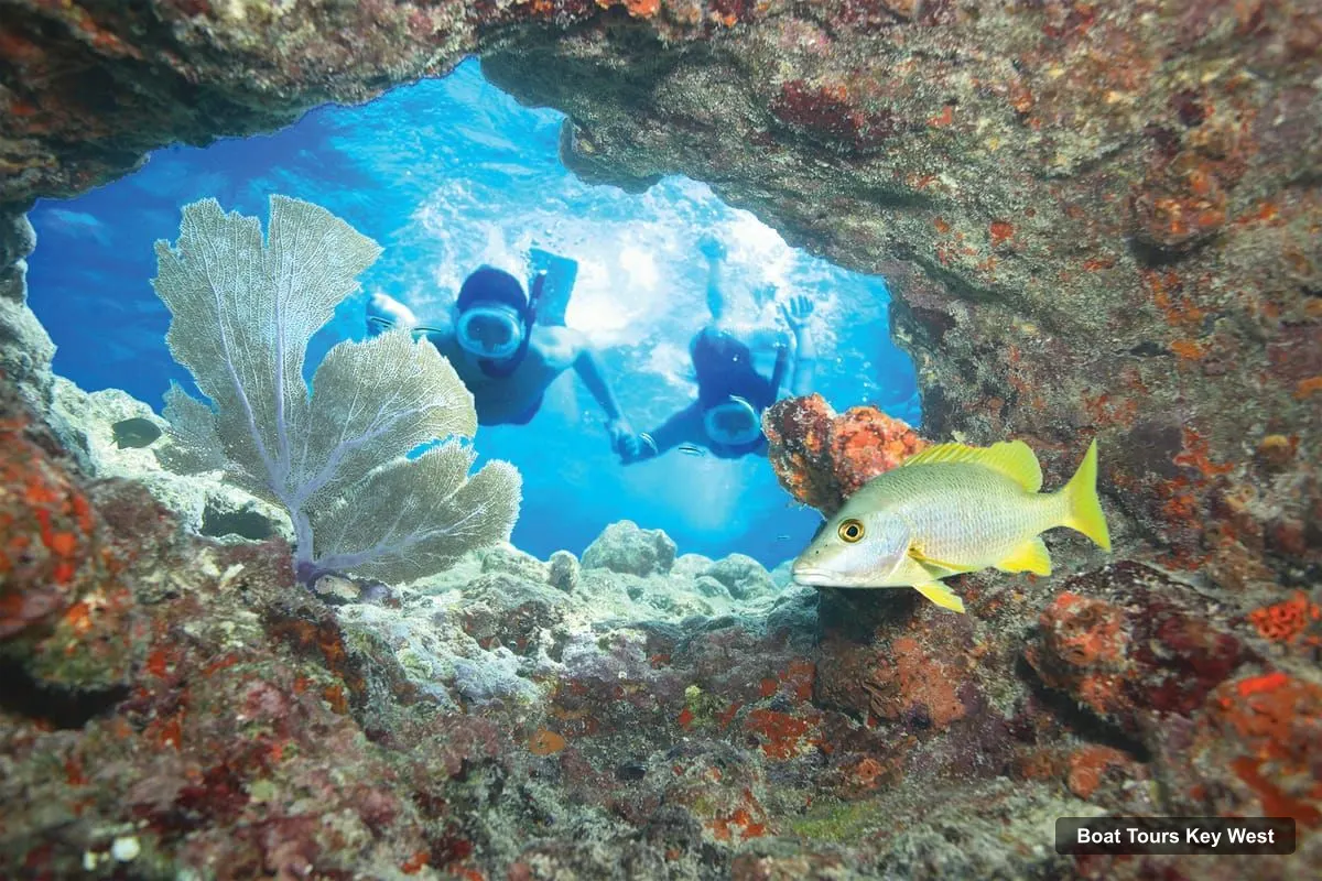 Boat Tours in Key West – Reef Snorkeling with Drinks and Sunset Option (photo 2)