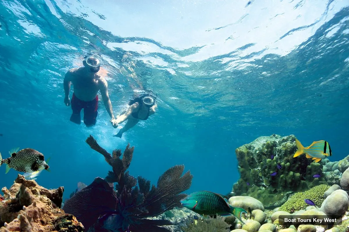 Boat Tours in Key West – Reef Snorkeling with Drinks and Sunset Option