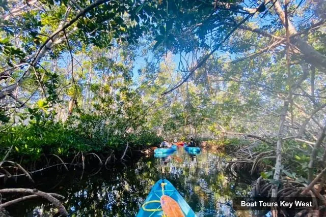 Key West Boat Cruises – 2-hour Mangrove Kayak Tour