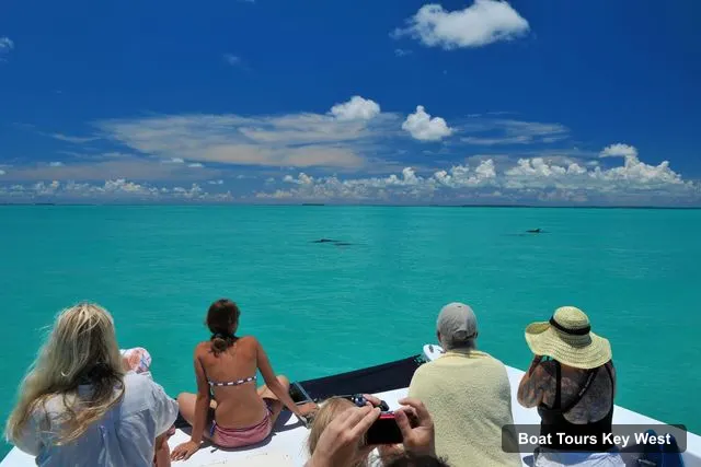 Boat Tours Key West – Dolphin Watching and Snorkeling Eco Cruise Tour
