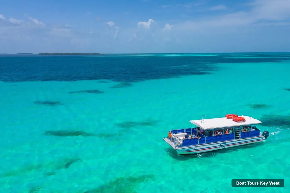 Boat Tours Key West – Dolphin Watching and Snorkeling Eco Cruise Tour (photo 2)