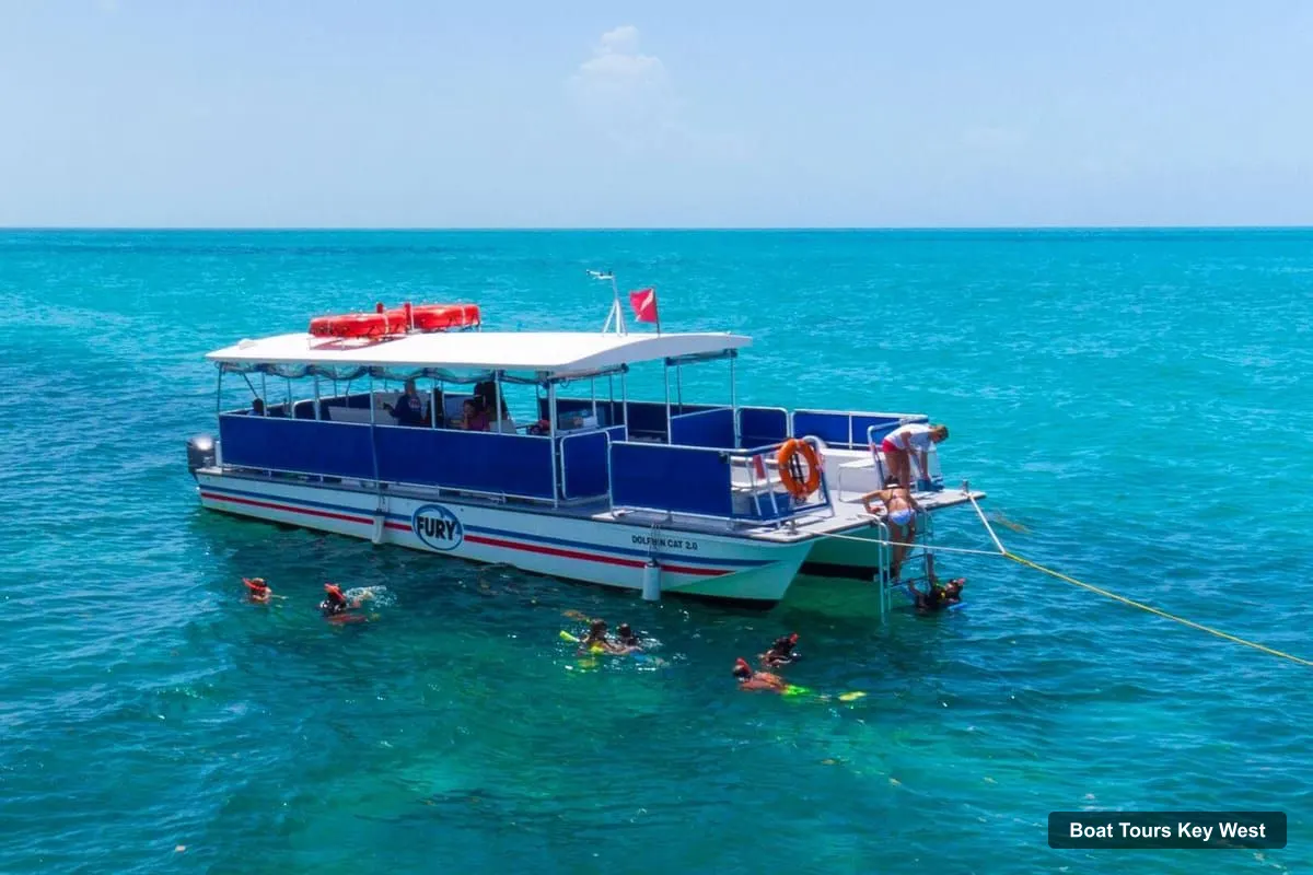 Boat Tours Key West – Dolphin Watching and Snorkeling Eco Cruise Tour (photo 4)