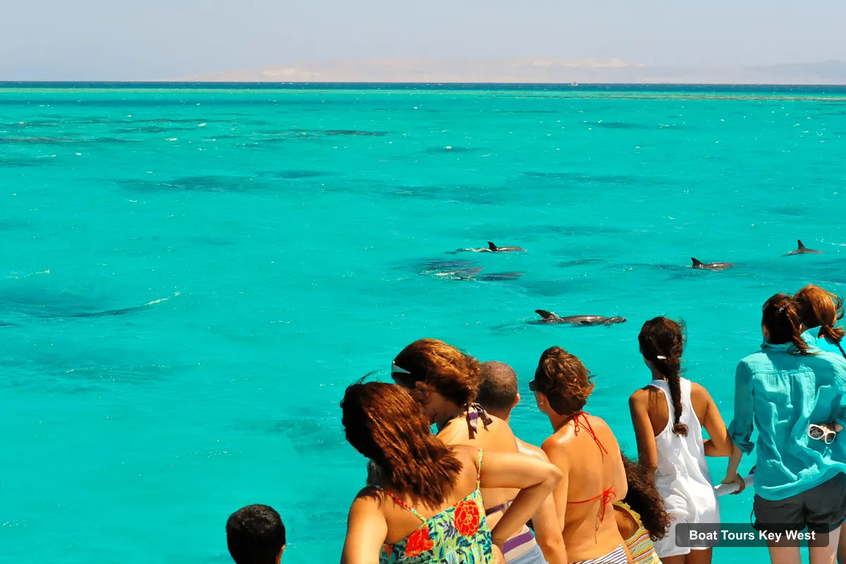 Boat Tours Key West – Dolphin Watching and Snorkeling Sunset Cruise (photo 5)