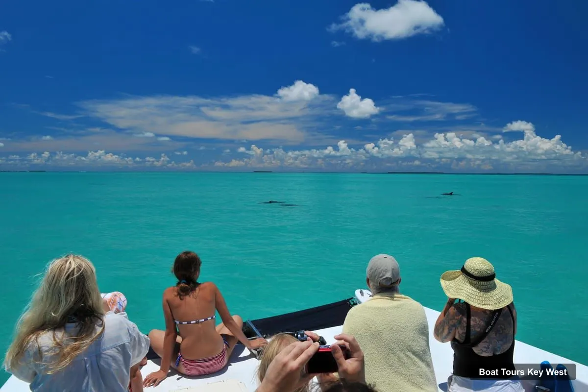 Boat Tours Key West – Dolphin Watching and Snorkeling Eco Cruise Tour