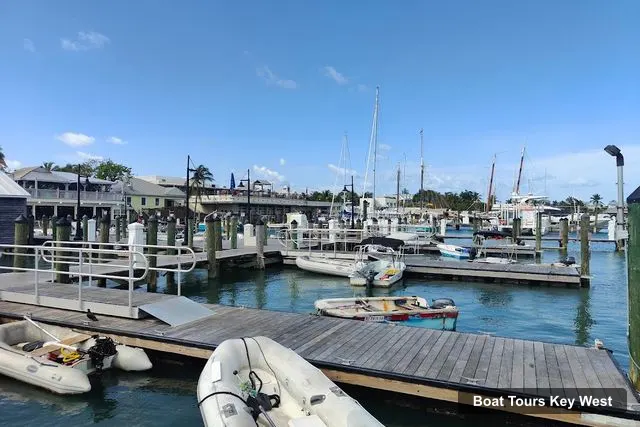 Honest Eco Tours – Honest Eco Tours, Key West – Key West Boat Cruises