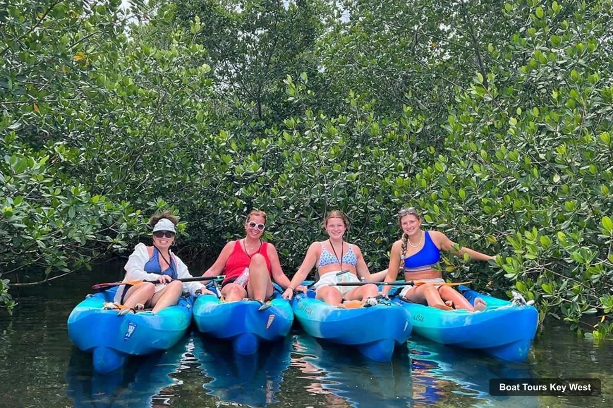 Key West Boat Cruises – 2-hour Mangrove Kayak Tour (photo 2)