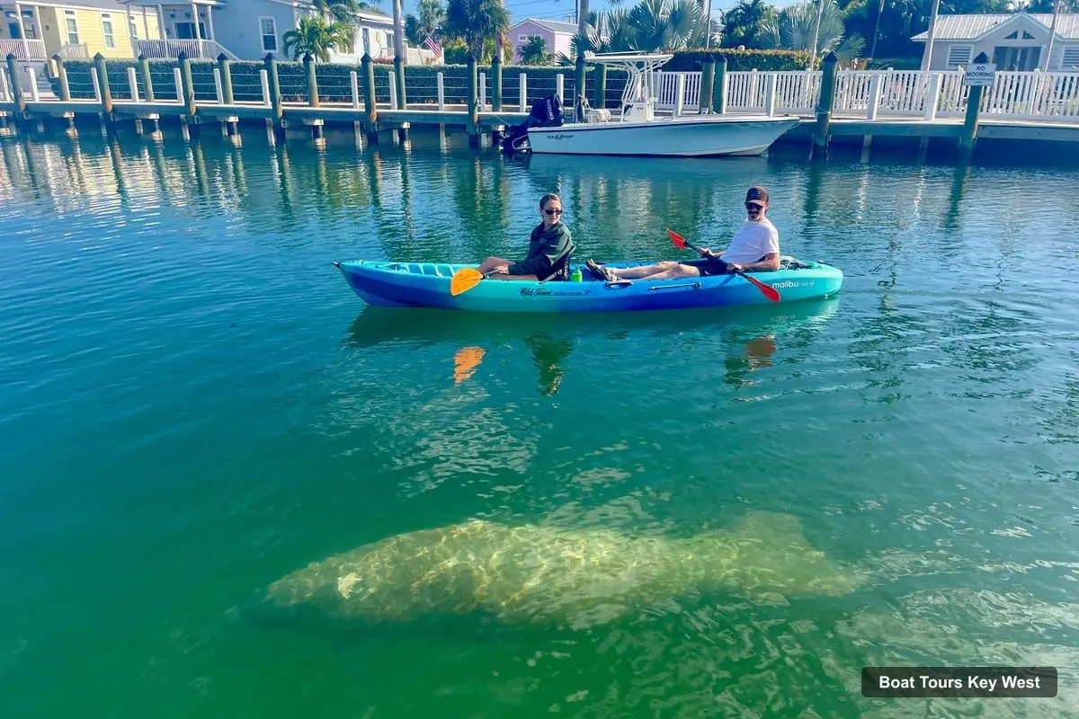 Key West Boat Cruises – 2-hour Mangrove Kayak Tour (photo 4)