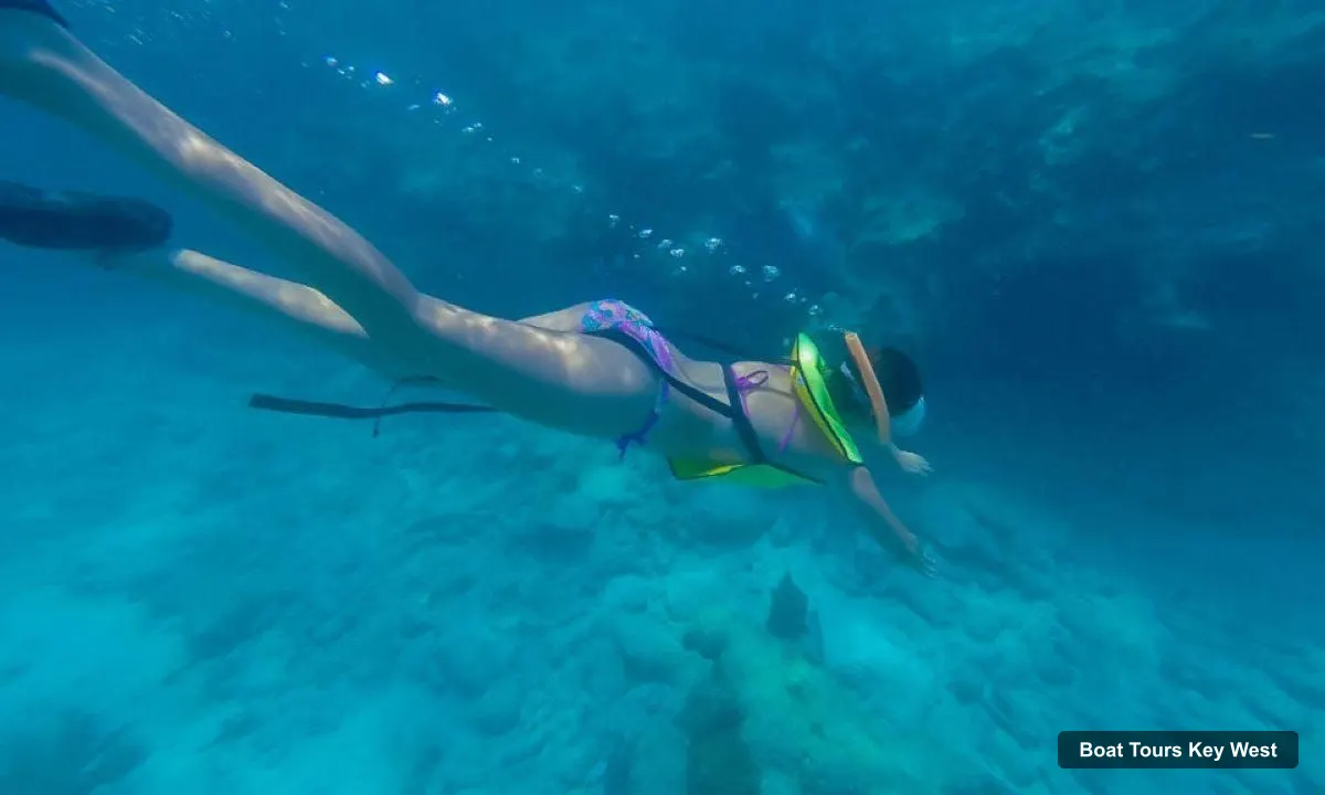 Key West Boat Trips – Catamaran Snorkel with Seafood Boil and Open Bar (photo 4)