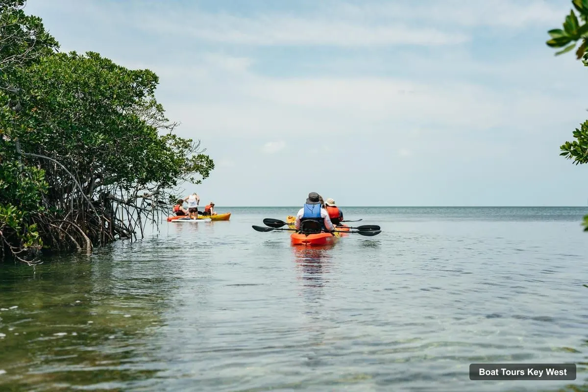Key West Boat Trips – Sandbar Excursion & Kayak Tour with Lunch & Drinks (photo 5)
