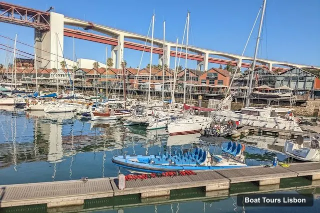 SeaEO Tours 🐬 🦩 – SeaEO Tours 🐬 🦩, Lisbon – Boat Tours in Lisbon
