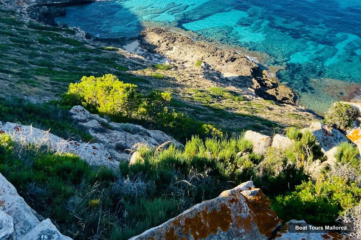 Boat Tours in Mallorca – Private Mallorca Boat Rental (No License Needed) (photo 5)