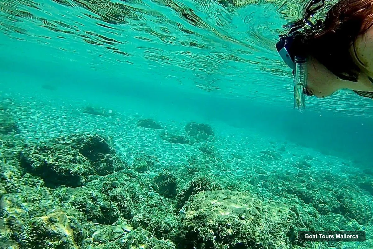 Boat Tours Mallorca – Private Boat Tour with Snorkel and Paddle (photo 5)