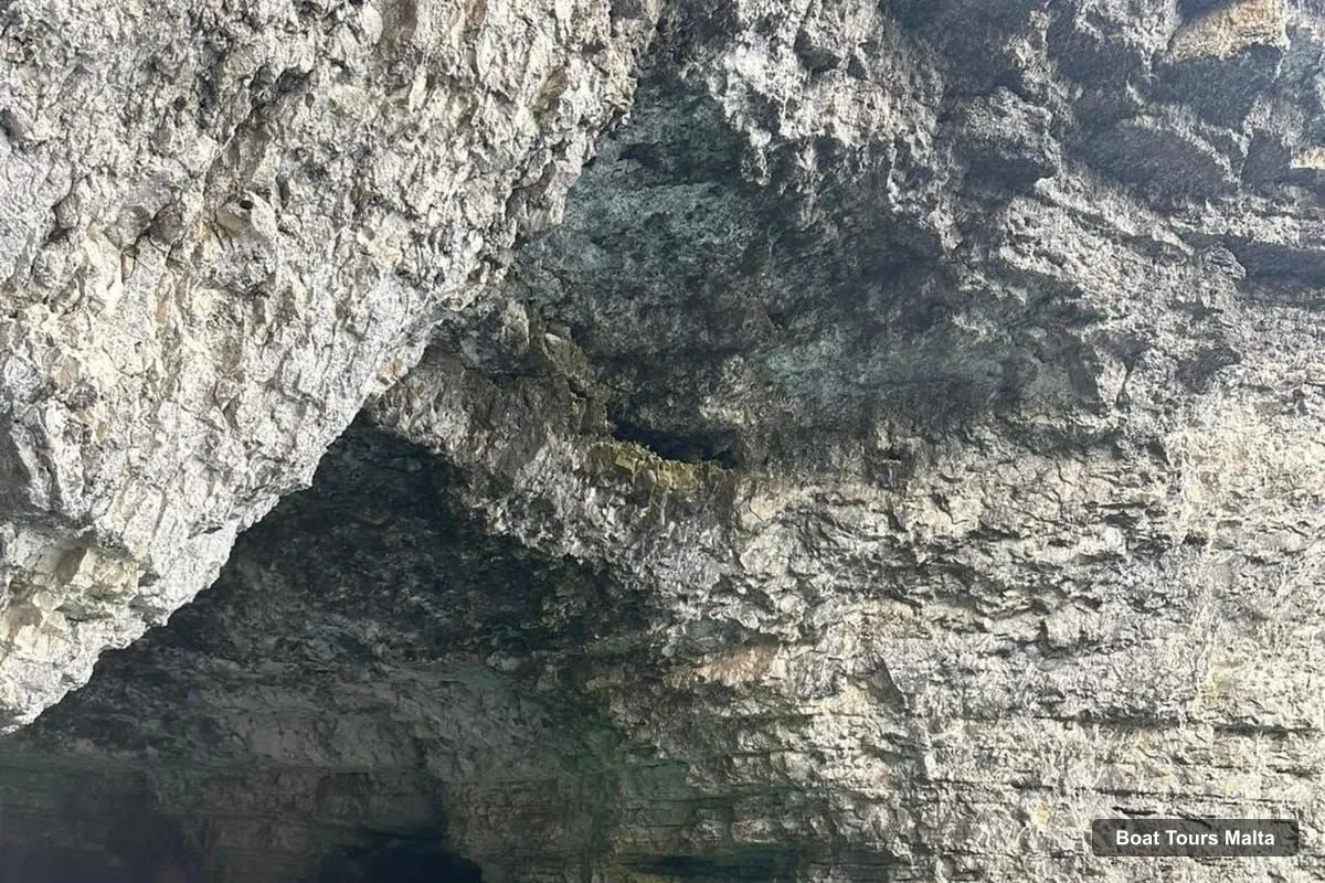 Malta Harbor Cruise – Private Boat Tours From Malta/Gozo: Comino & Blue Lagoon (photo 4)