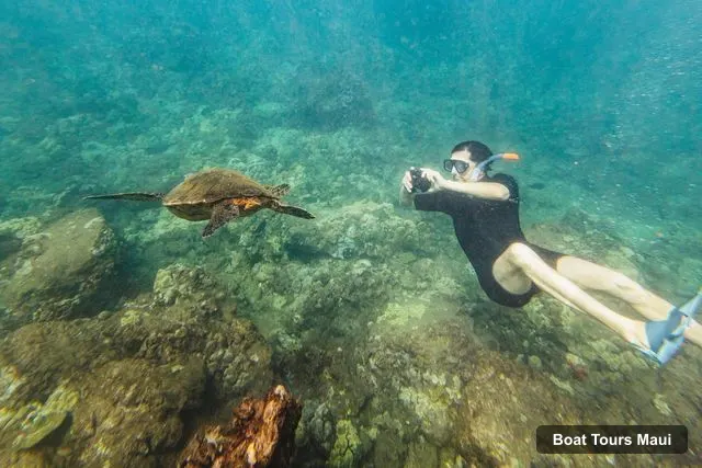 Boat Tours in Maui – South Maui: Molokini & Turtle Town Snorkeling Tour with Meal