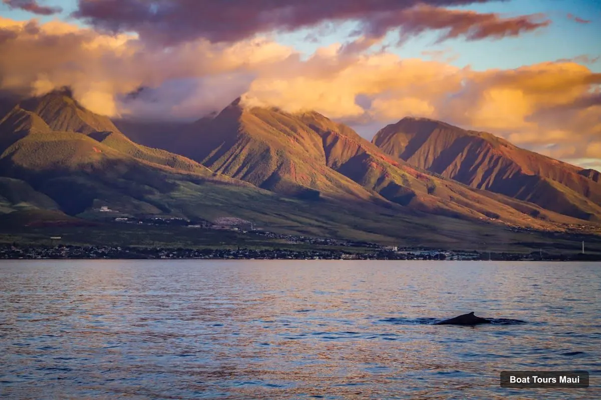 Boat Tours Maui – Ka'anapali Luxury Sunset Dinner Sail (photo 5)