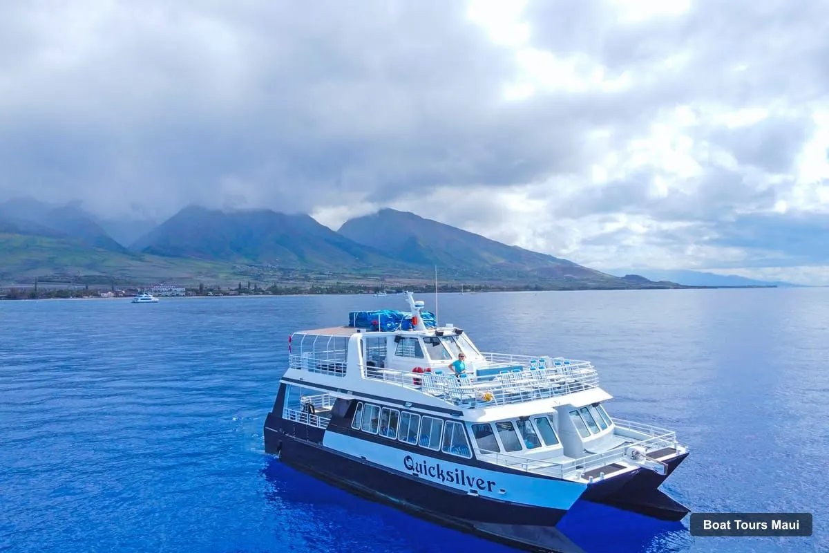 Boat Tours Maui – Ma'alaea Harbor: Whale Watching Tour Aboard Power Catamaran (photo 2)