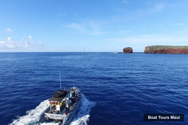 Hawaii Ocean Rafting Whale Watch and Snorkel – Hawaii Ocean Rafting Whale Watch and Snorkel, Maui – Maui Boat Cruises