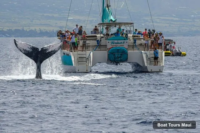Maui Boat Cruises – Ka'anapali Whale Watching Cruise on Luxury Sailboat