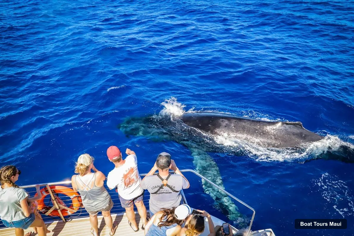 Maui Boat Cruises – Ka'anapali Whale Watching Cruise on Luxury Sailboat (photo 2)