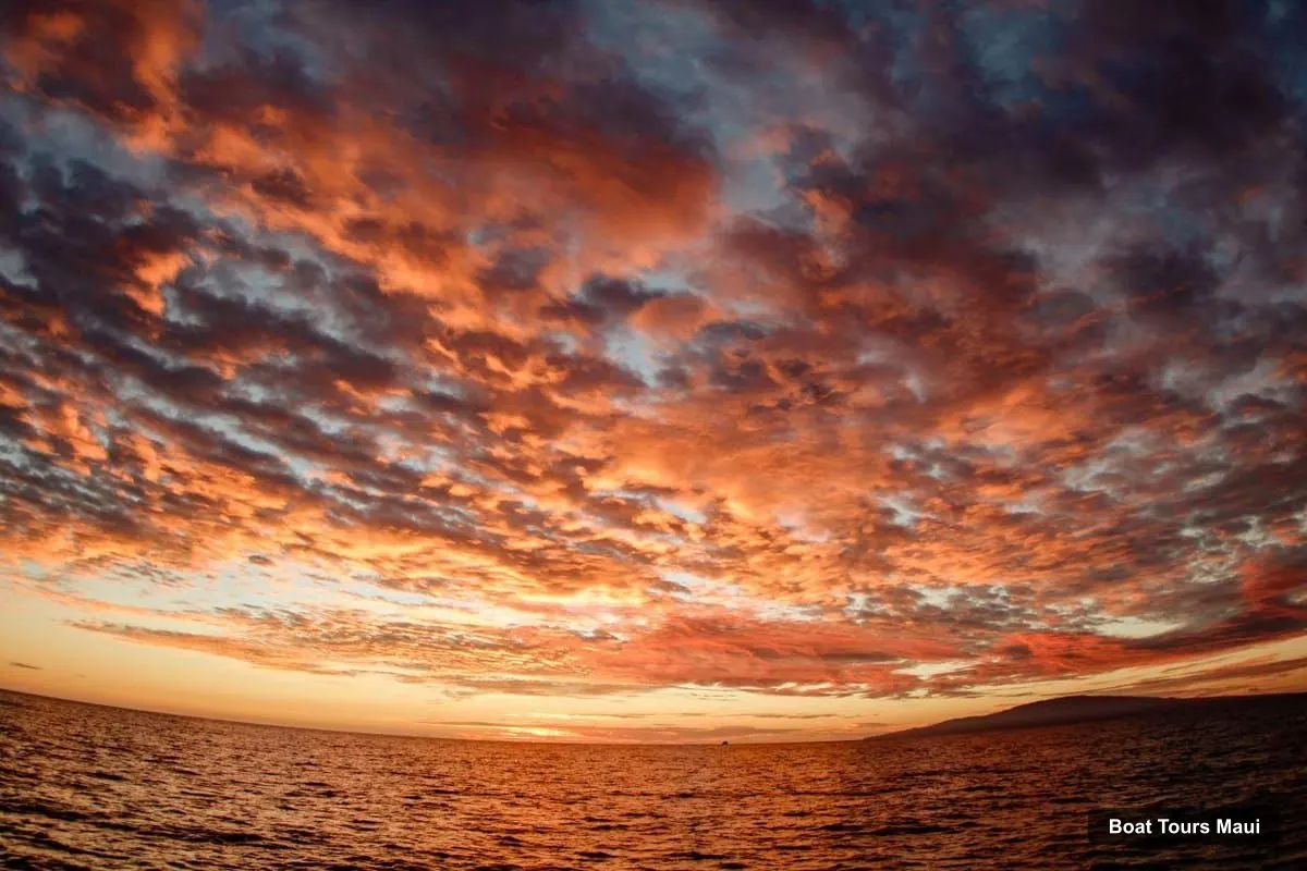 Maui Boat Trips – Alii Nui Luxury Catamaran Sunset Happy Hour Sail (photo 4)