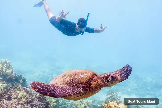 Maui Boat Cruises – South Maui: Molokini Snorkeling Adventure