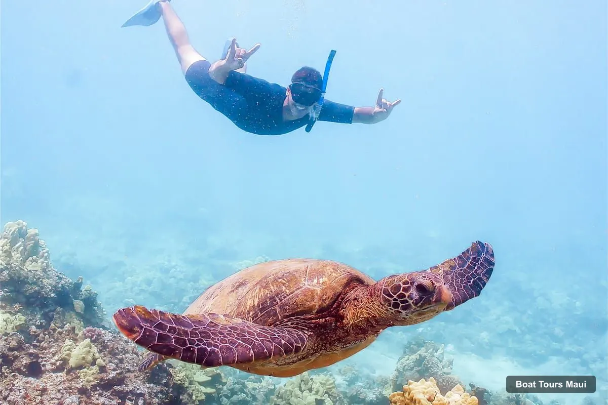 Maui Boat Cruises – South Maui: Molokini Snorkeling Adventure