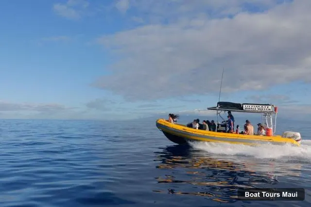 Ultimate Whale Watch & Snorkel – Ultimate Whale Watch & Snorkel, Maui – Boat Tours in Maui