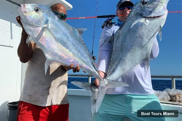 Boat Tours in Miami – Deep-Sea Fishing and Sightseeing Boat Tour