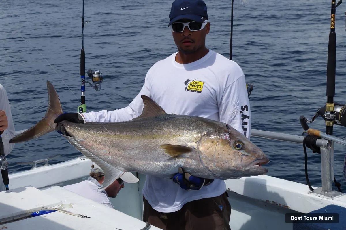 Boat Tours in Miami – Deep-Sea Fishing and Sightseeing Boat Tour (photo 2)