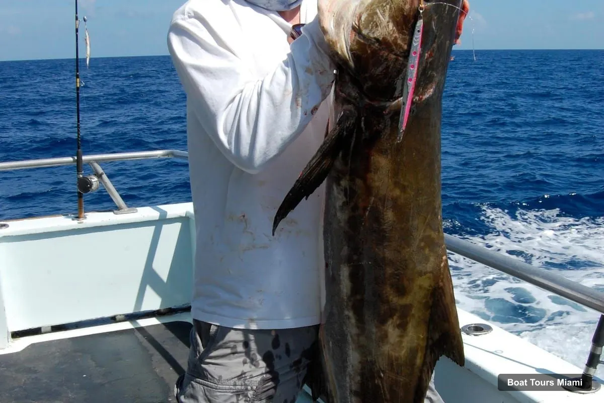 Boat Tours in Miami – Deep-Sea Fishing and Sightseeing Boat Tour (photo 4)