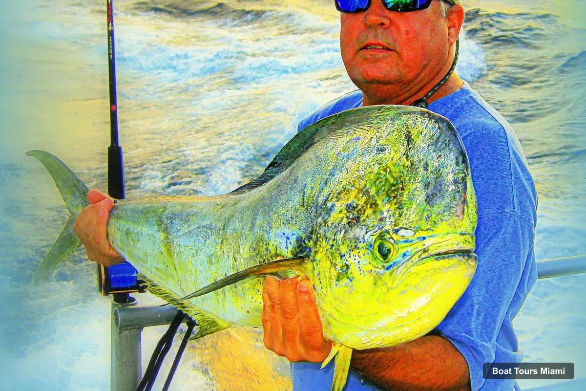 Boat Tours in Miami – Deep-Sea Fishing and Sightseeing Boat Tour (photo 5)