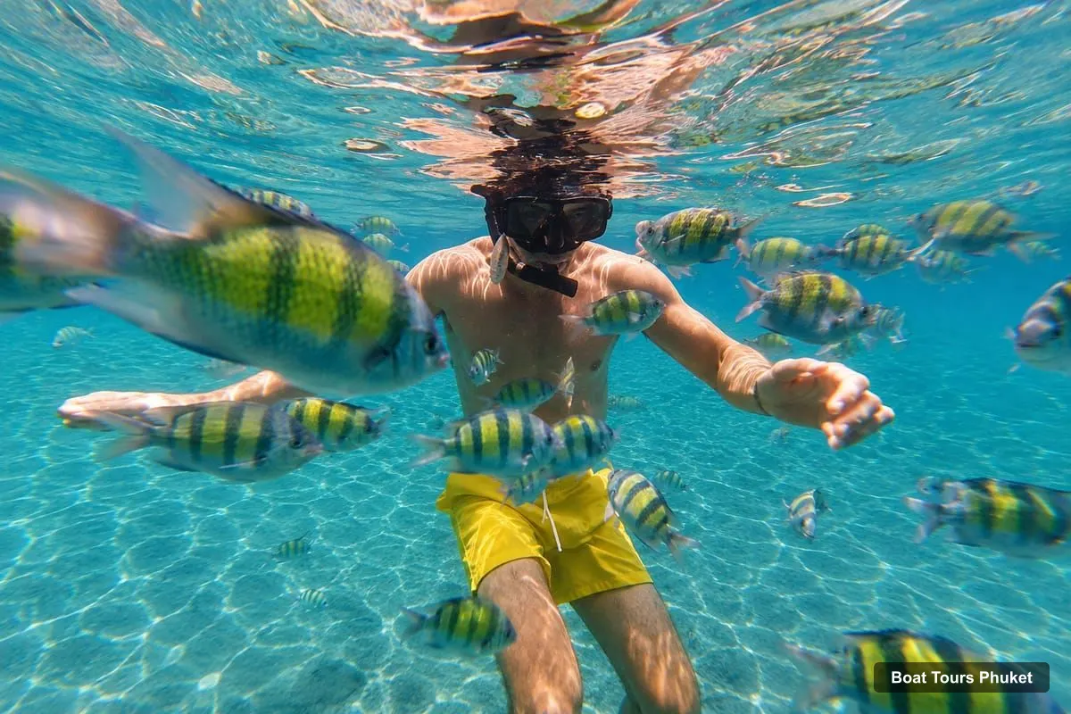 Phuket Boat Trips – 3 Khai Islands Relax & Snorkeling Half/Full Day Tour (photo 3)