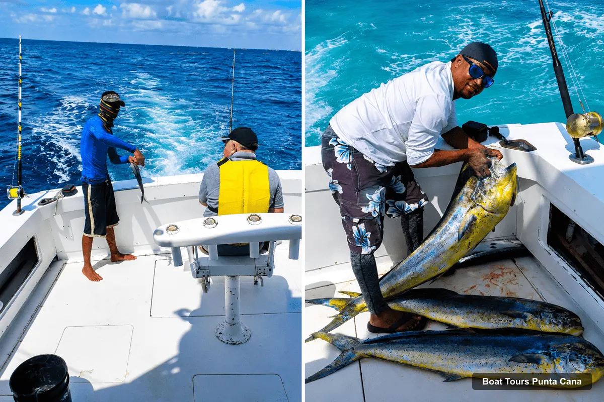 Boat Tours Punta Cana – Deep-Sea Fishing Trip with Drinks & Rum (photo 3)
