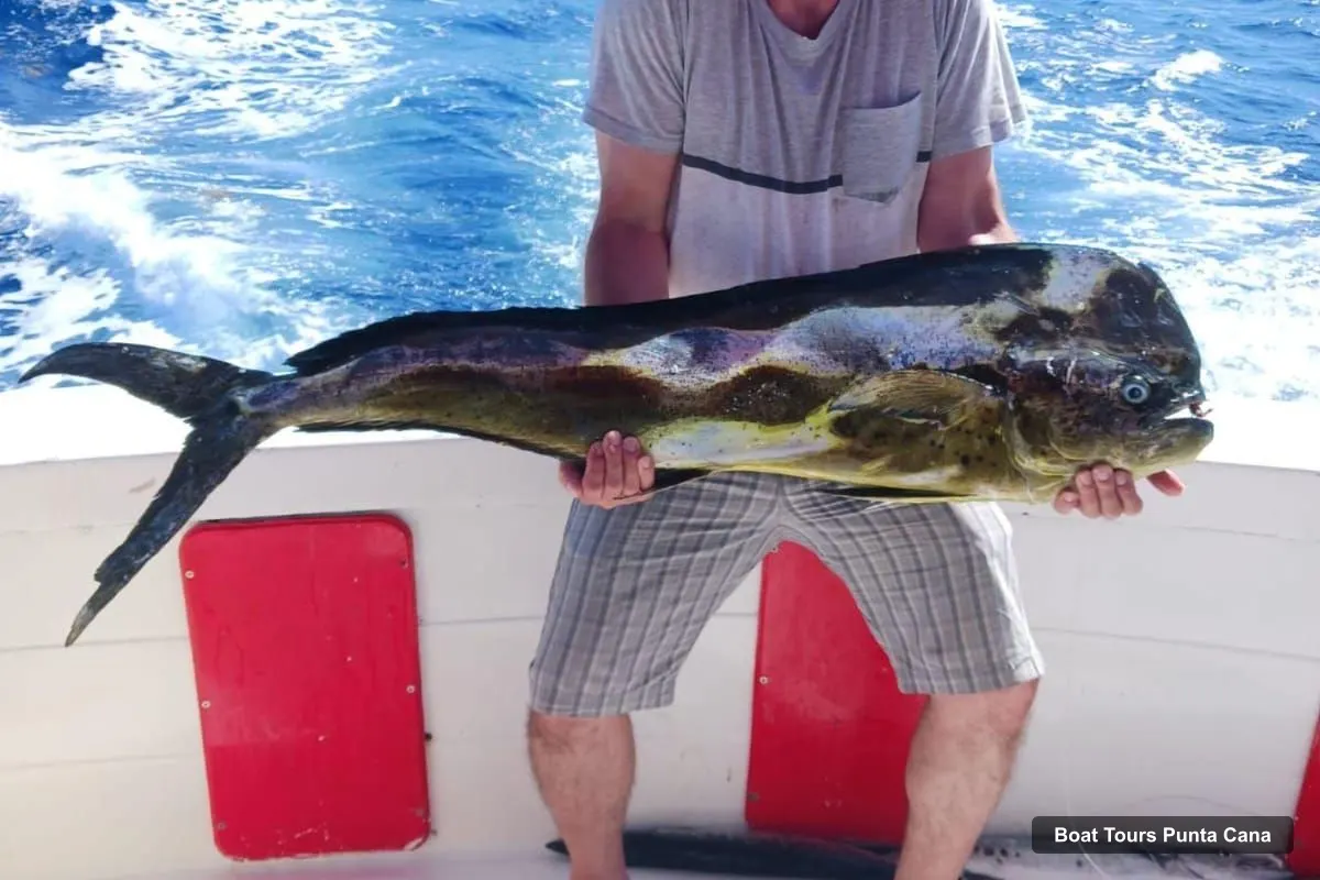 Punta Cana Boat Trips – 4-Hour Deep-Sea Fishing for Mahi-Mahi (photo 4)