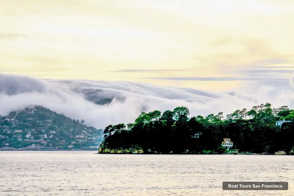 Boat Tours in San Francisco – San Francisco City Lights Cruise (photo 3)