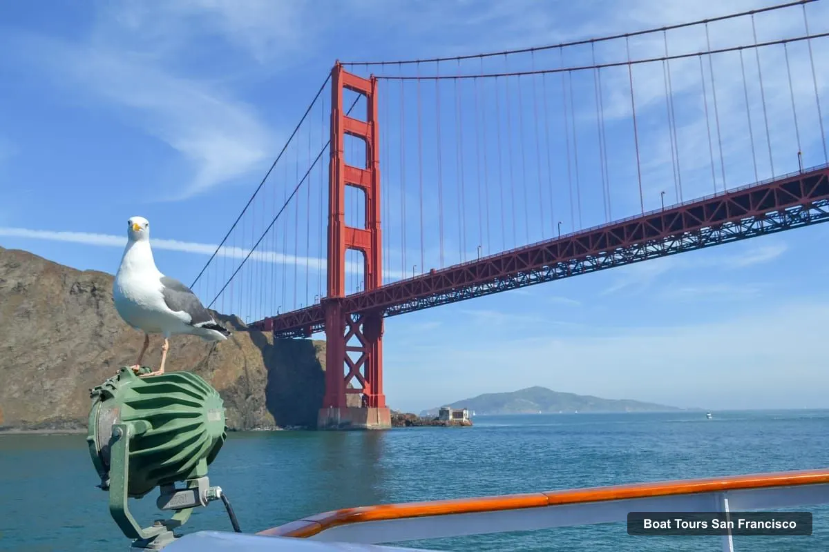 Boat Tours San Francisco – City Cruises Buffet Lunch or Dinner Cruise (photo 3)