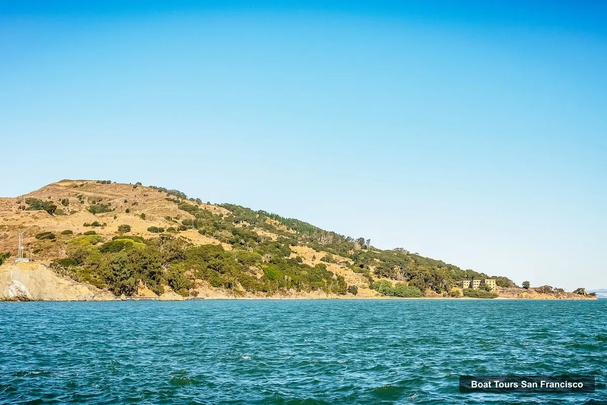 San Francisco Boat Cruises – Bay Sailing Tour with Drinks (photo 5)
