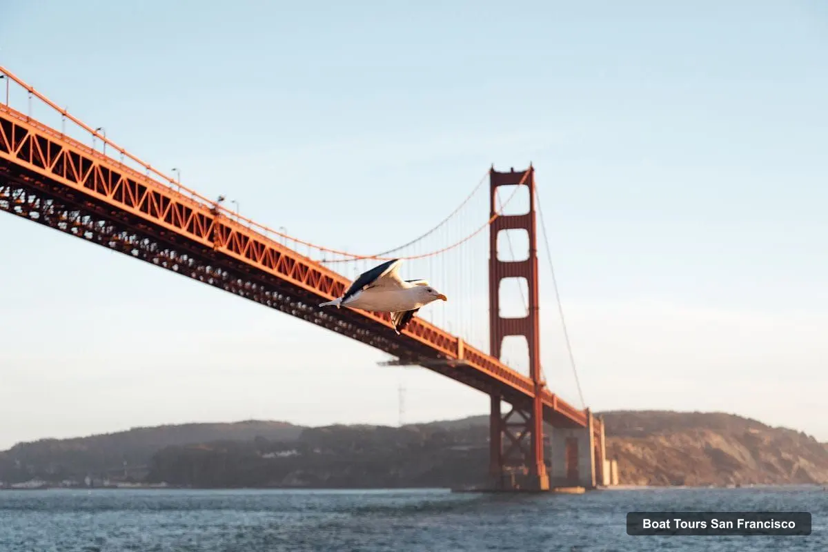 San Francisco Boat Cruises – Mothers Day Brunch or Dinner Bay Cruise (photo 4)