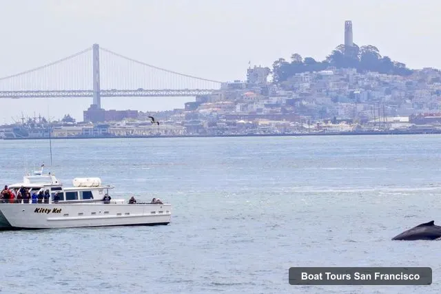 San Francisco Whale Tours – San Francisco Whale Tours, San Francisco – Boat Tours in San Francisco