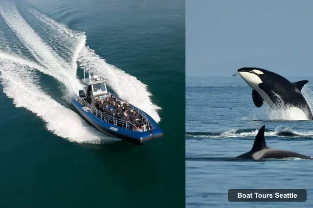 Boat Tours in Seattle – Whale Watching Adventure Tour Near Seattle