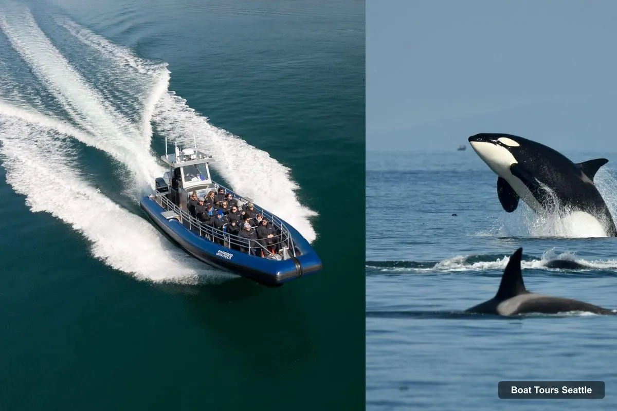 Boat Tours in Seattle – Whale Watching Adventure Tour Near Seattle